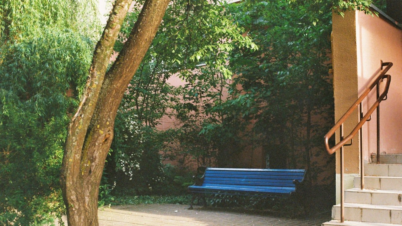 Three Reasons Why You Should Consider a Middle Part wig