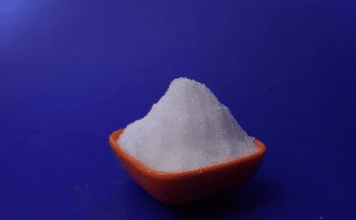 Can Citicoline Sodium Improve Learning Capacities?